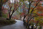 tkf001_817331