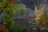 tkf001_817334