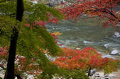 tkf001_817390