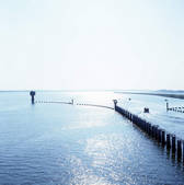 tkf001_817440