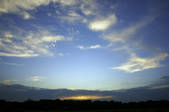 tkf001_817447
