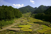 tkf001_817451