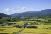 tkf001_817486