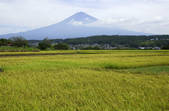 tkf001_817498