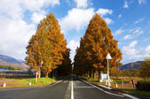 tkf001_817512