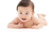 tkf001_817805