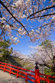 tkf001_820035