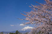 tkf001_820038