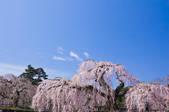 tkf001_820039