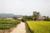 tkf001_822711