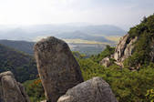 tkf001_822734