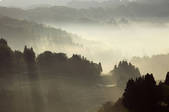 tkf001_825995