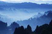 tkf001_825996