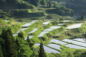 tkf001_826000
