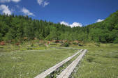 tkf001_826044
