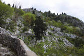 tkf001_826681