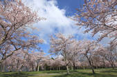 tkf001_827047