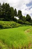 tkf001_828050