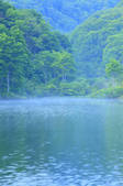 tkf001_833279