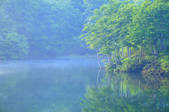 tkf001_833280