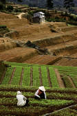 tkf001_464172