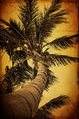 tkf001_465501