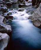 tkf001_466597