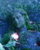 tkf001_466648