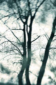 tkf001_489057