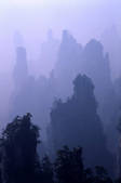 tkf001_489402