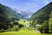 tkf001_494549