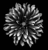 tkf001_495024