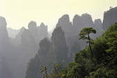 tkf001_502955