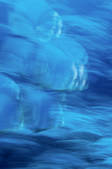 tkf001_503493