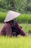 tkf001_506638