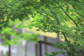 tkf001_553011