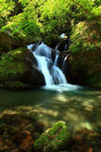tkf001_554678