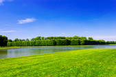 tkf001_554839