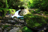 tkf001_555120