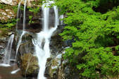 tkf001_555247
