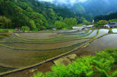 tkf001_555481