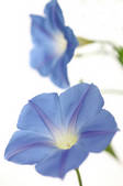 tkf001_555869