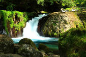 tkf001_555871