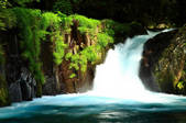 tkf001_555999