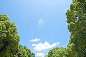 tkf001_556832