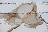 tkf001_558910
