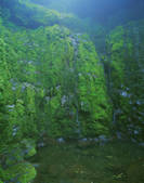 tkf001_596082