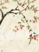 tkf001_635505