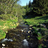 tkf001_649064