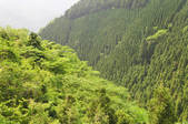 tkf003_100368